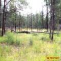 2 419 Killara Road, NARRABRI, NSW 2390 AUS