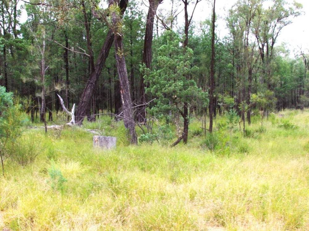 2 419 Killara Road, NARRABRI, NSW 2390 AUS
