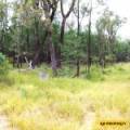 2 419 Killara Road, NARRABRI, NSW 2390 AUS
