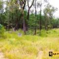 1 419 Killara Road, JACKS CREEK, NSW 2390 AUS