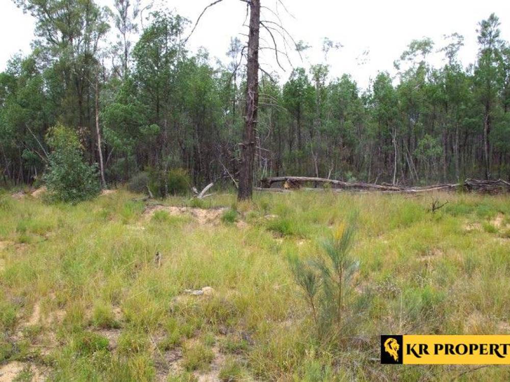 1 419 Killara Road, JACKS CREEK, NSW 2390 AUS