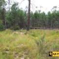 1 419 Killara Road, JACKS CREEK, NSW 2390 AUS