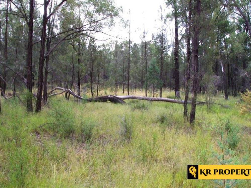 1 419 Killara Road, JACKS CREEK, NSW 2390 AUS
