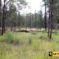 1 419 Killara Road, JACKS CREEK, NSW 2390 AUS