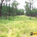 1 419 Killara Road, JACKS CREEK, NSW 2390 AUS