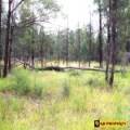 1 419 Killara Road, JACKS CREEK, NSW 2390 AUS