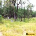 1 419 Killara Road, JACKS CREEK, NSW 2390 AUS