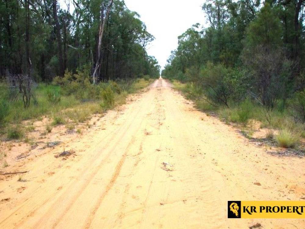 1 419 Killara Road, JACKS CREEK, NSW 2390 AUS