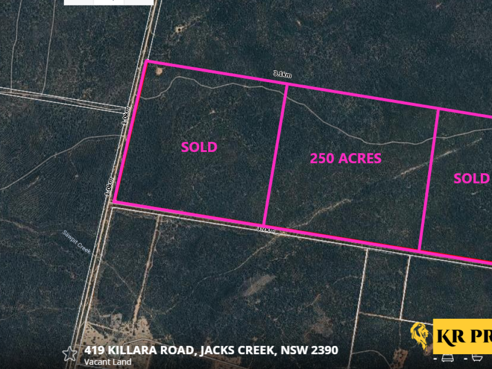 1 419 Killara Road, JACKS CREEK, NSW 2390 AUS