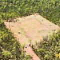 1 419 Killara Road, JACKS CREEK, NSW 2390 AUS