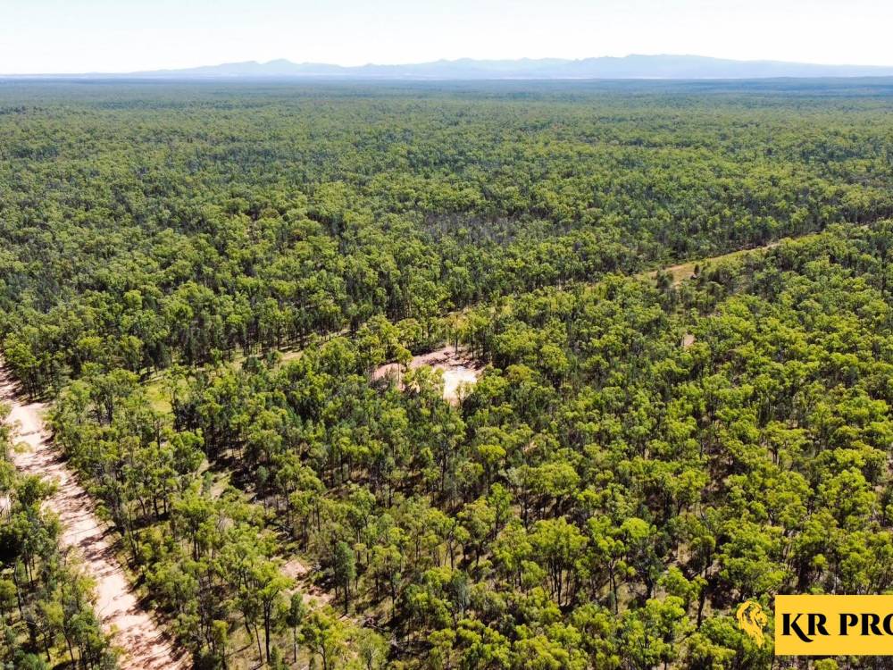 1 419 Killara Road, JACKS CREEK, NSW 2390 AUS