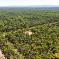 1 419 Killara Road, JACKS CREEK, NSW 2390 AUS