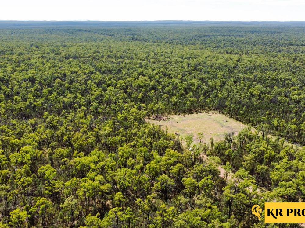 1 419 Killara Road, JACKS CREEK, NSW 2390 AUS