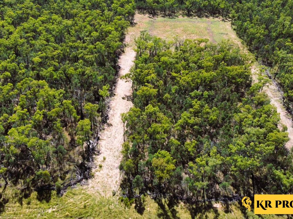 1 419 Killara Road, JACKS CREEK, NSW 2390 AUS