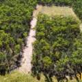 1 419 Killara Road, JACKS CREEK, NSW 2390 AUS