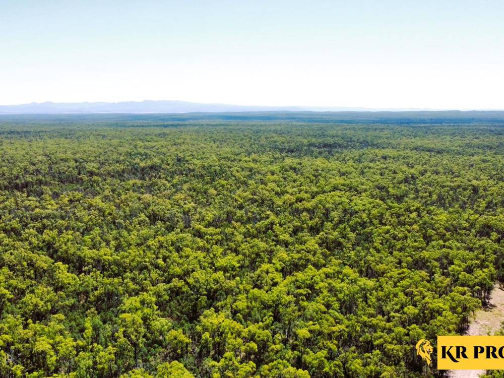 1 419 Killara Road, JACKS CREEK, NSW 2390 AUS