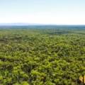 1 419 Killara Road, JACKS CREEK, NSW 2390 AUS