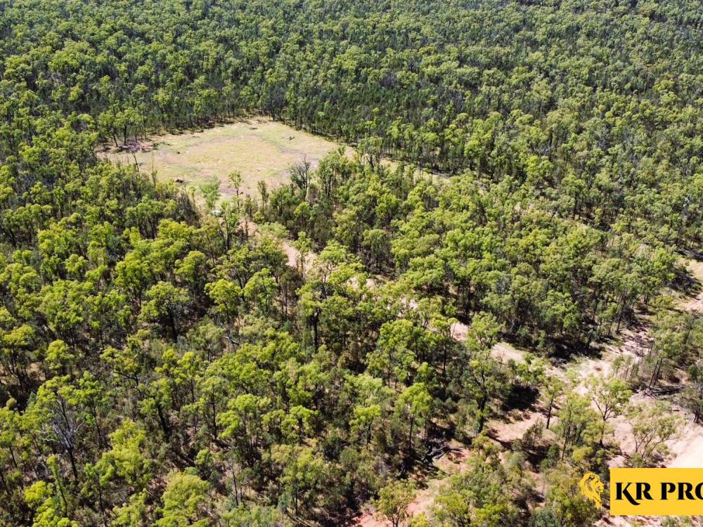 1 419 Killara Road, JACKS CREEK, NSW 2390 AUS