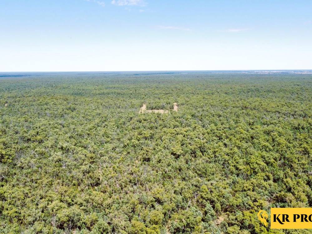2 419 Killara Road, NARRABRI, NSW 2390 AUS