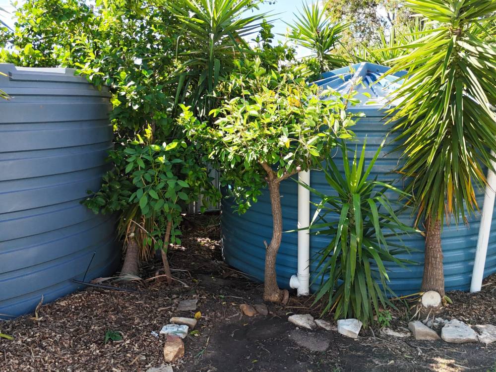 131 Barwan Street, NARRABRI, NSW 2390 AUS